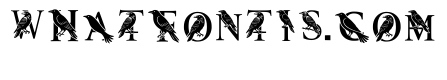 Bird Font Regular