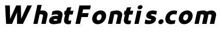 UT Rankberg Black Italic