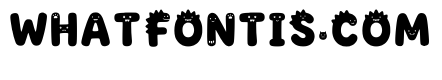 Raine Regular