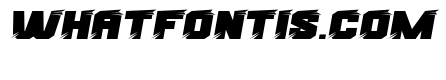Racing Party