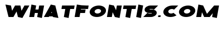 Race Gamer