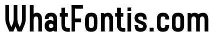 Quantum Network