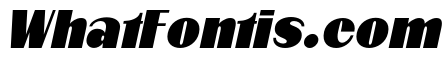Qorvyn Black Condensed Italic