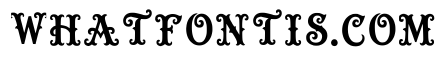 Pupae Regular