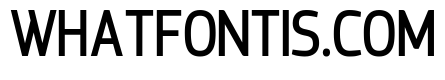 Punkora