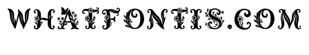 Prini Regular