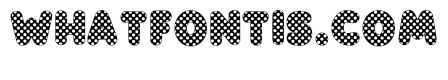 Pop Dot Regular