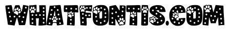 Polka Cat Regular