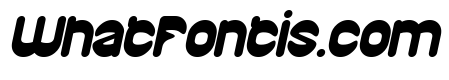 PLAYFUL GRAVITY Italic
