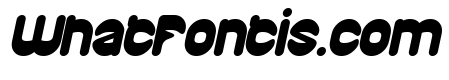 PLAYFUL GRAVITY Bold Italic