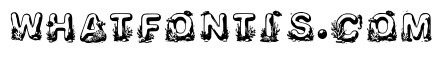Pip Regular