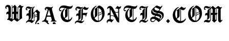 Phile Regular