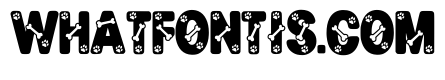 Pet Dog Regular