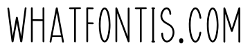 Perfect Designer