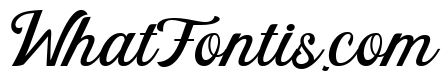 paredise Calligraphy Regular