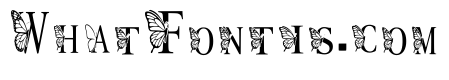 Papillon Monogram Regular
