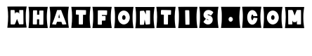 Paper Bold Regular