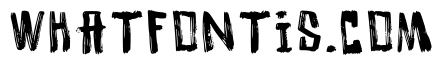 Painti Regular