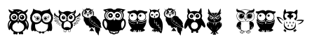 Owl Set
