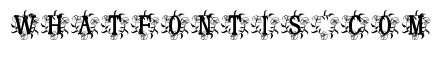 Orvara Monogram