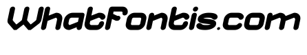OPTIMISTIC FUTURE Bold Italic