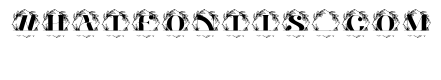 Olivara Split Monogram
