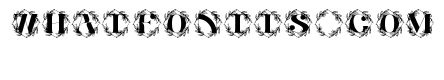 Olivara Monogram