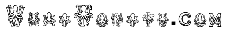 Octopus Regular