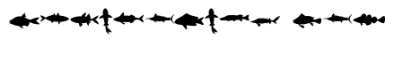 Ocean Fish