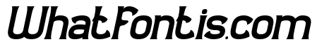 Observant & Aware Italic