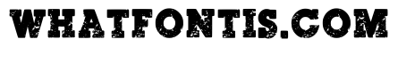 Norton Vintage Regular