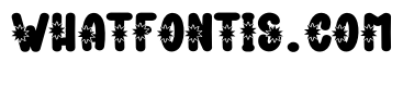 Night Firework