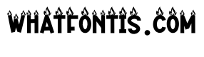 Night Bonfire