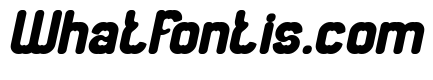 Newton apple Bold Italic