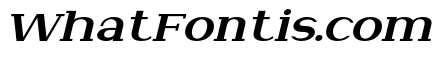 NewbornTimes-ExtBdSlantExp