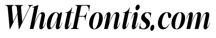 Newback Italic