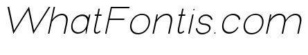 New Trusty Thin Italic