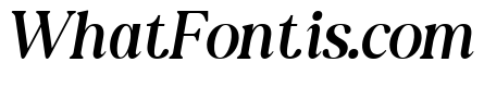 New Shuffle Italic ExtLt Ita