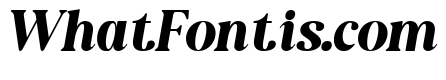 New Shuffle Italic Bold Italic