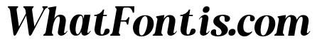 NewShuffleItalic-SemBdIta