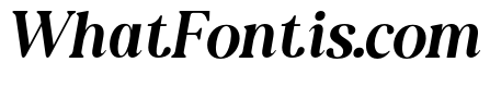 NewShuffleItalic-Italic
