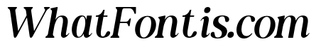 NewShuffleItalic-ExtLtIta