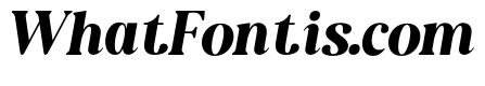 NewShuffleItalic-BoldItalic