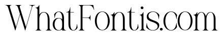 MUSTYSERIF-Thin