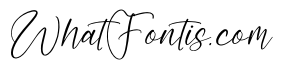 Musikalist Italic
