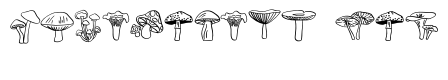 Mushroom Doodles