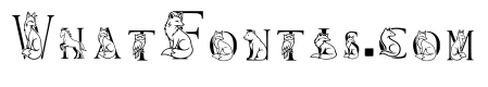 Mrfox Regular
