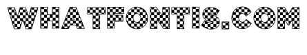 Motor Sport Regular