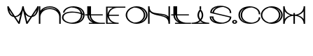 Morbaizy Black Expanded Regular
