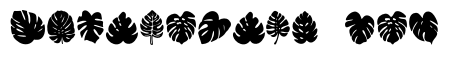 Monstera Leaf